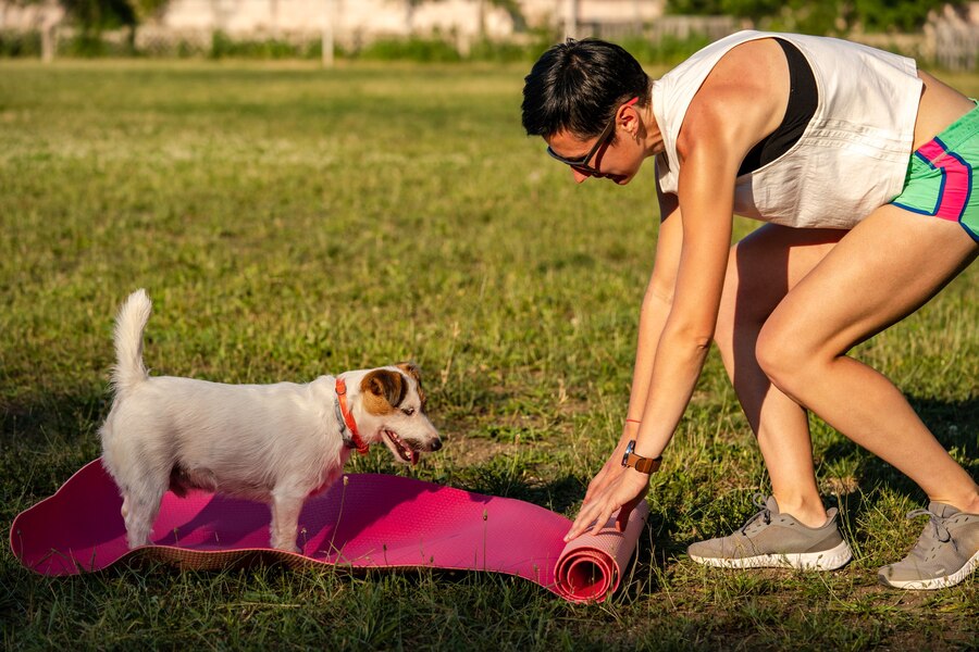 7 treningstips for kjæledyrene dine for å hjelpe dem å leve lenger